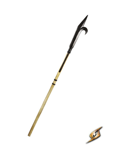 Lancia a Gancio per LARP