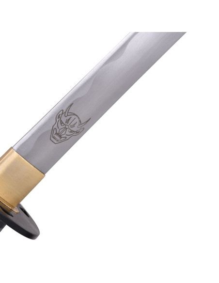 Katana decorativa non ufficiale fatta...