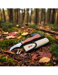 Seta Albainox con spazzola, pinza e fischietto (21 cm.) 2