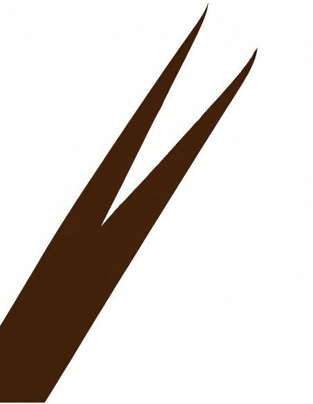 Cintura Medievale Galileo - Marrone...