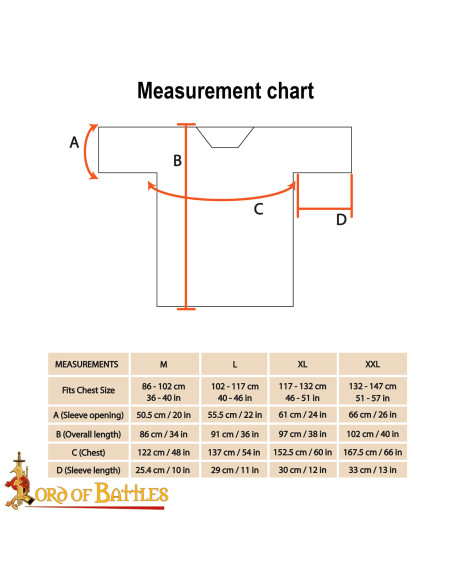 Cota di maglia modello Haubergeon,...