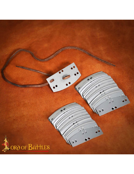 Set di 100 placche in acciaio...