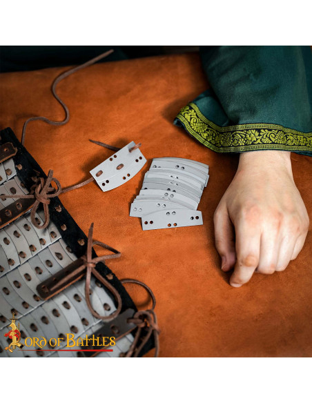 Set di 100 placche in acciaio...