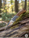 Coltello da collezione Albainox con rivestimento in ottone e lama di cervo (21,5 cm).