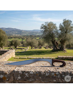 Falcata iberica funzionale, lama 60 cm.