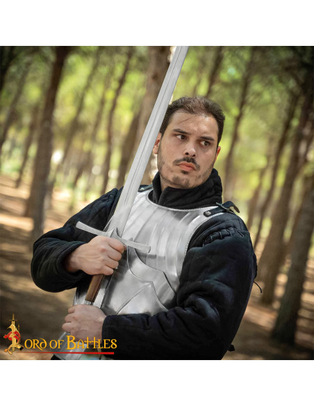 Corazza gotica medievale secoli...