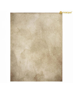 Foglio pergamena medievale in pelle di capra (13x18 cm).