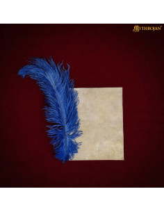 Foglio pergamena medievale in pelle di capra (15,5 x 20,5... 2