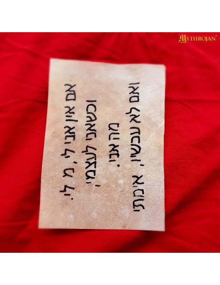 Foglio pergamena medievale in pelle...