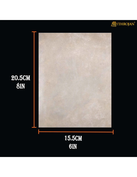 Foglio pergamena medievale in pelle...