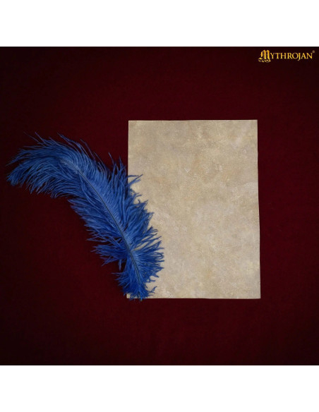 Foglio Pergamena medievale in pelle... Foglio Pergamena medievale in pelle...