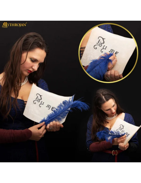 Foglio Pergamena medievale in pelle... Foglio Pergamena medievale in pelle...