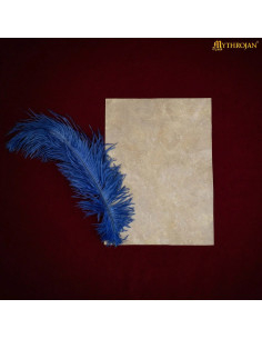 Foglio pergamena medievale in pelle di capra (45x45 cm). 2