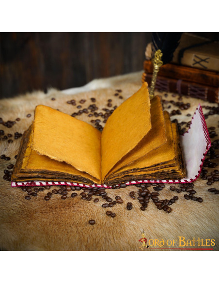 Diario medieval copertina in pelle... Diario medieval copertina in pelle...