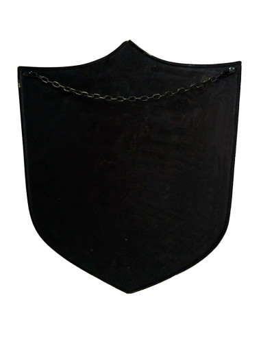 Scudo guerriero medievale