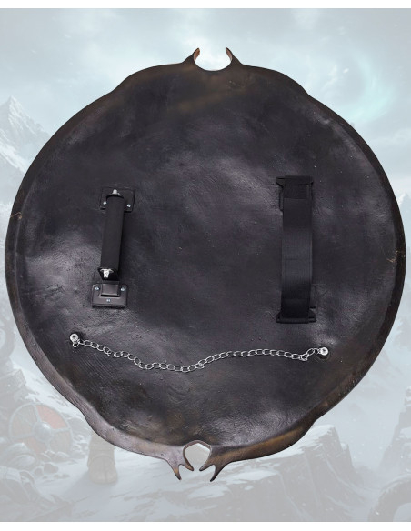 Scudo decorativo non ufficiale di...