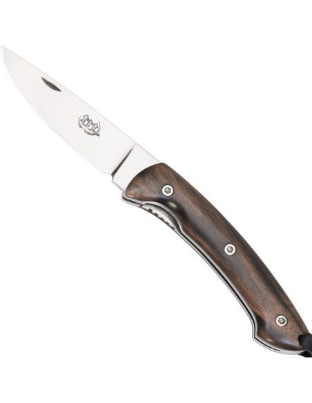 Coltello campus città Troyeng di Citadel