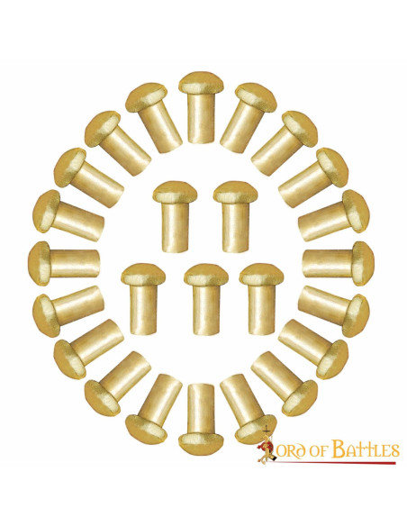 Set di 50 rivetti a testa di fungo in...