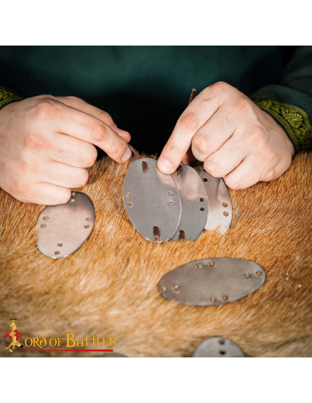 Set di 25 piastre lamellari in...