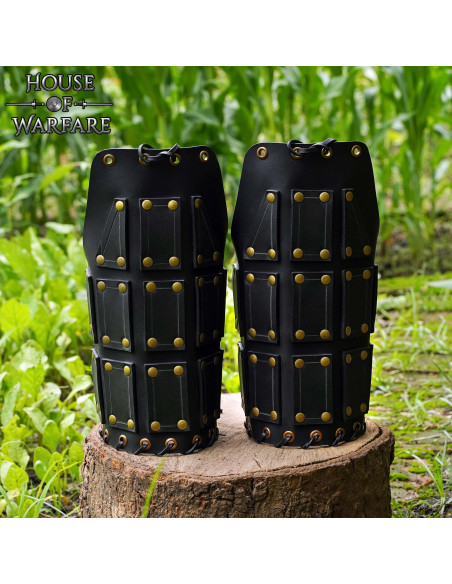 Spalliere medievali in pelle nera...