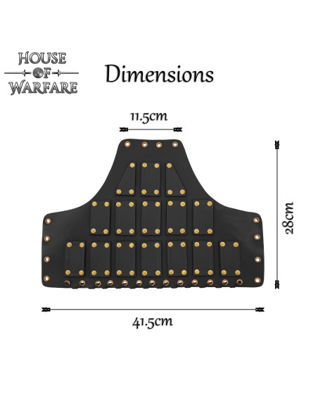 Spalliere medievali in pelle nera...