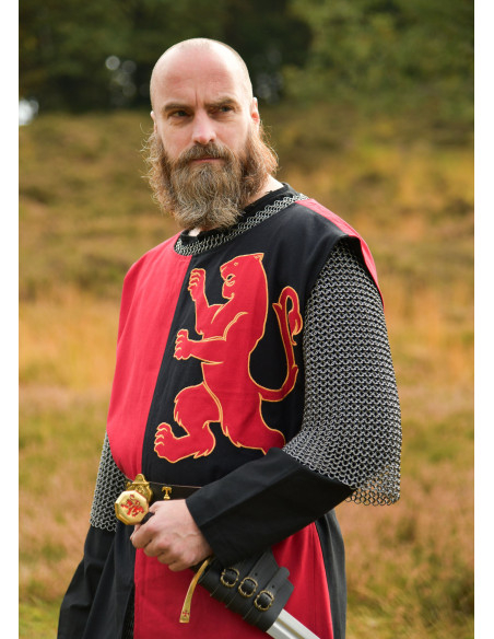 Tabardo medievale cavaliere design...