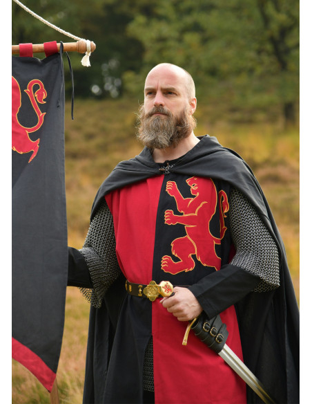 Tabardo medievale cavaliere design...