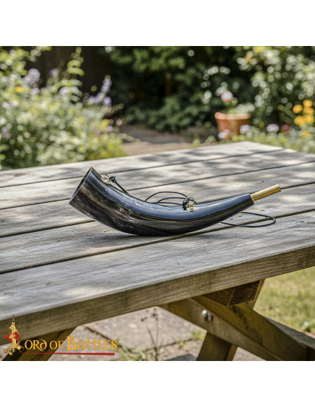 Corno di bue vichingo medievale...