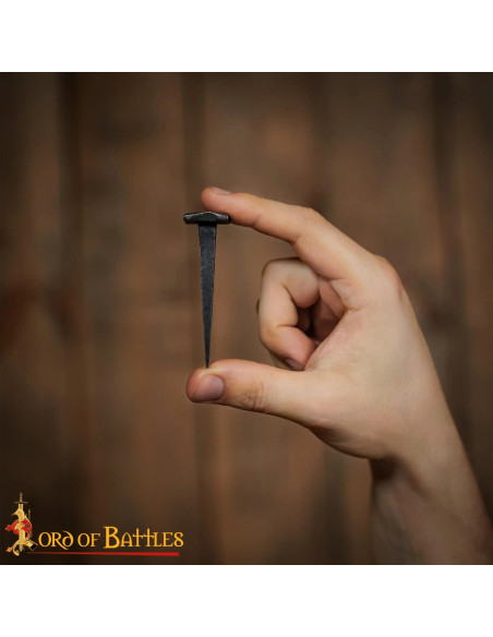Set di 10 chiodi medievali forgiati...