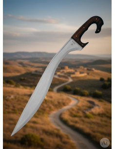 Falcata iberica funzionante fatta a mano con fodero, lama... 2