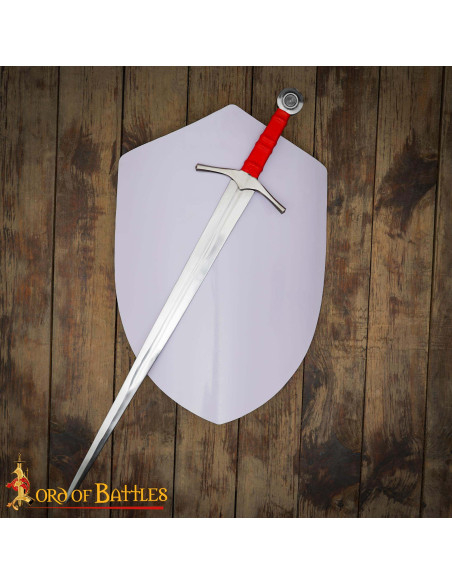 Scudo crociato in acciaio...