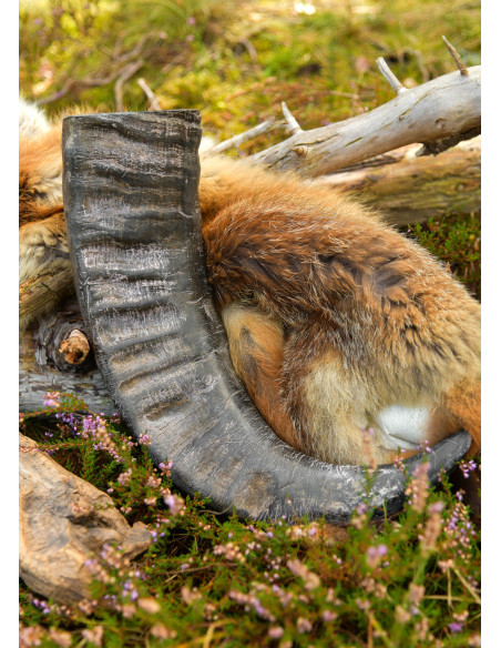 Corno Vichingo di Bufalo per...