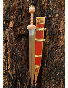 Gladio Romano Dubravica con fodero (I secolo d.C.)