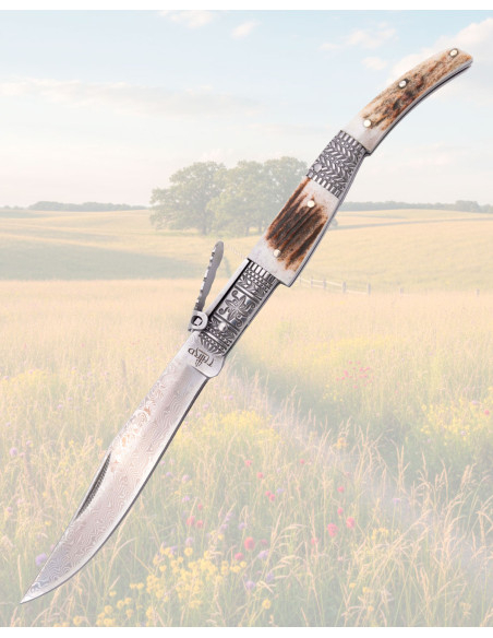 Coltello in Damasco Third Cervo,...