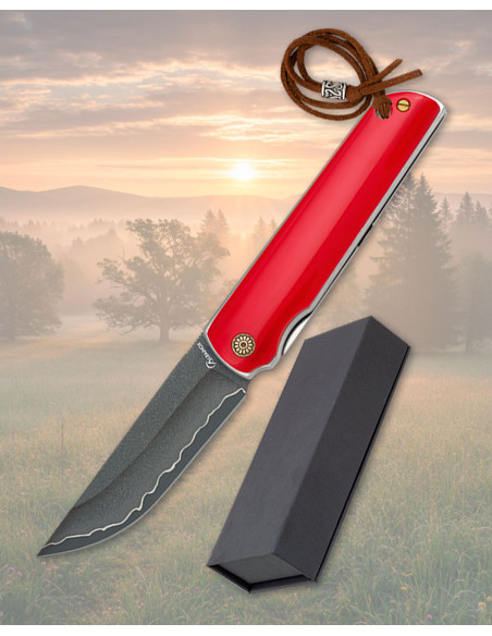 Coltello Albainox in acciaio inox con...