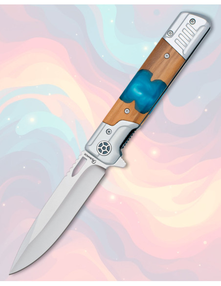 Coltello Albainox lama 10 cm in...