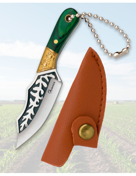 Coltello Albainox mini, manico...
