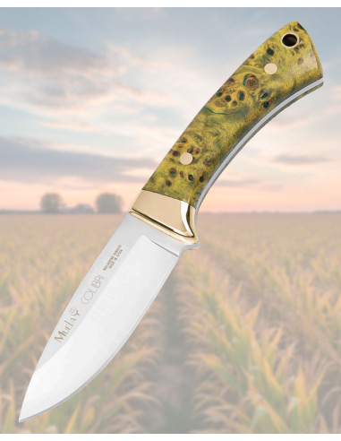 Coltello Muela Colibrí con impugnatura in legno stabilizzato sottovuoto, colore lime