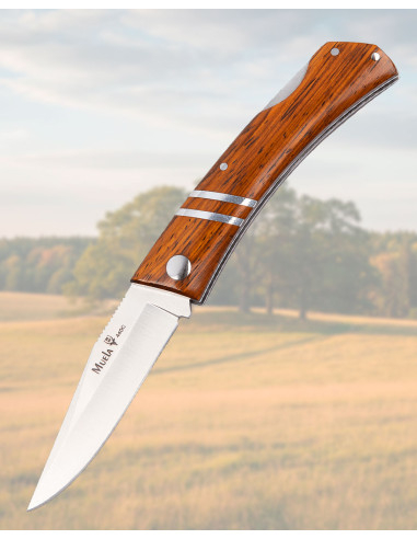 Coltello Pieghevole Cocobolo 440C Lockback Preciso