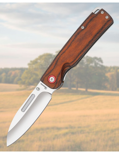 Coltello da Campo Albainox, lama 8,9 cm.