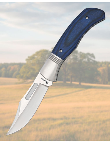 Coltello Albainox manico stamina blu, lama 9 cm. acciaio inox
