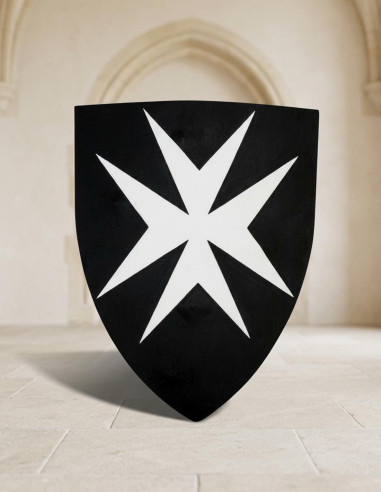 Scudo ospedaliero funzionale, 50x60 cm.