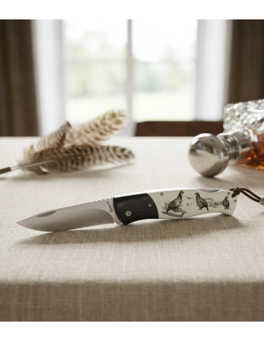 Coltello pieghevole Albainox con chiusura back lock e impugnatura in stamina con pernici