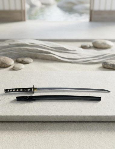 Grande serie di onde katana Tsunami