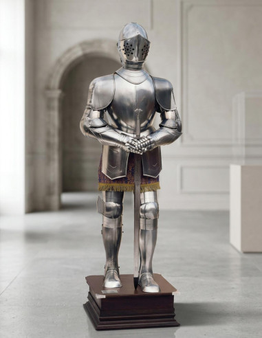 Armatura naturale d'argento con spada