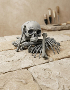 Ossa umane, 18 pezzi