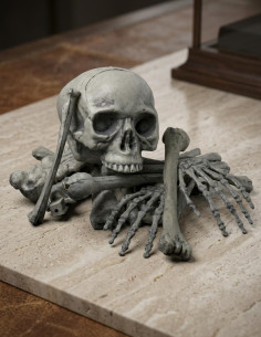 Ossa umane, 18 pezzi 2