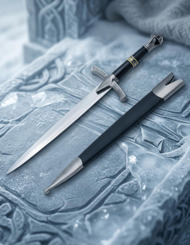 Winter is Coming fantastico argento Daga