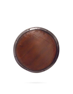 Scudo in lattice per LARP