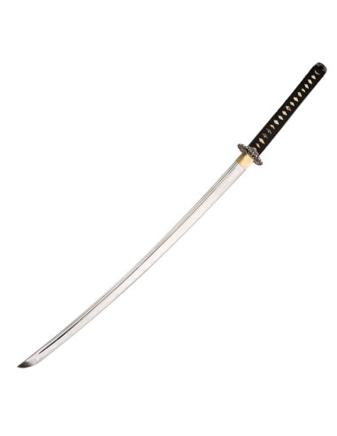 Katana per le pratiche